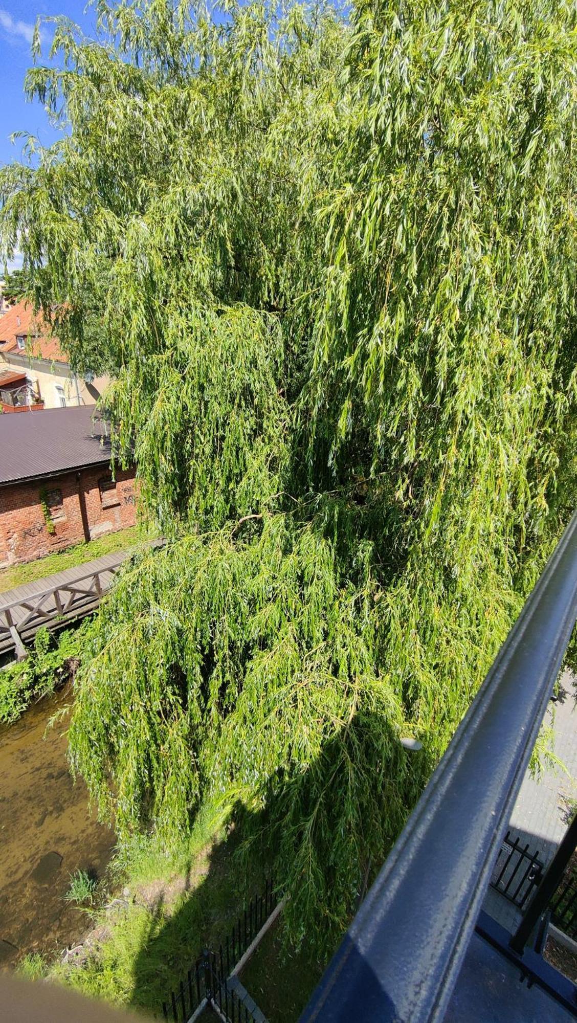 Apartament Nad Rzeka Lega Olecko Extérieur photo